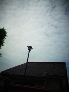 b0183911_132424.jpg