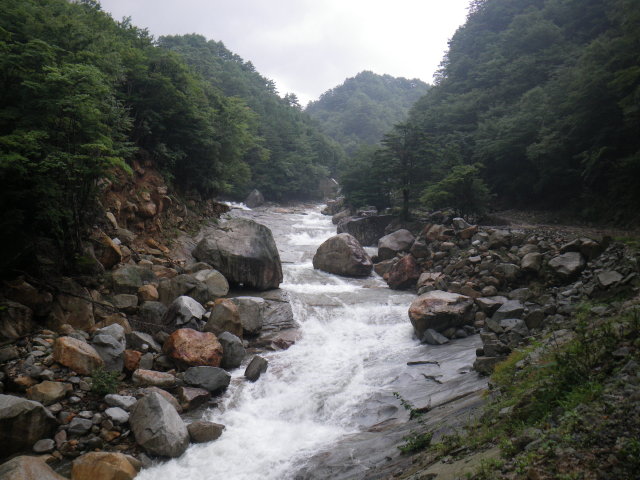 d0006512_17121145.jpg
