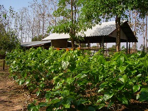 e0123712_1234216.jpg
