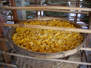 e0123712_12354292.jpg
