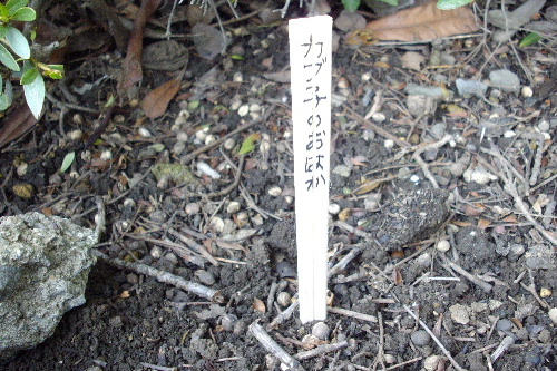 f0212217_1331887.jpg