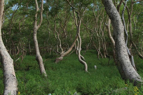 b0146723_23532029.jpg