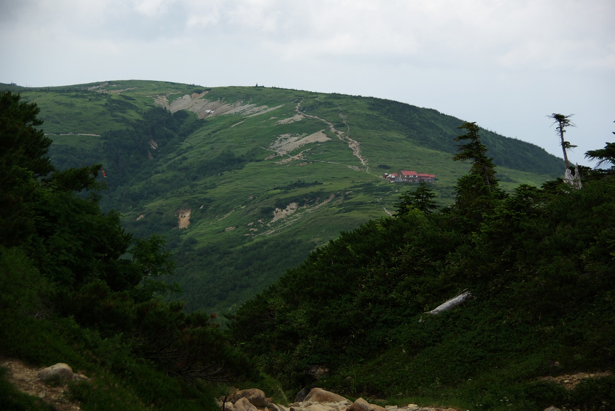 b0062024_1151130.jpg