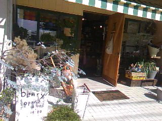 e0050324_1630416.jpg