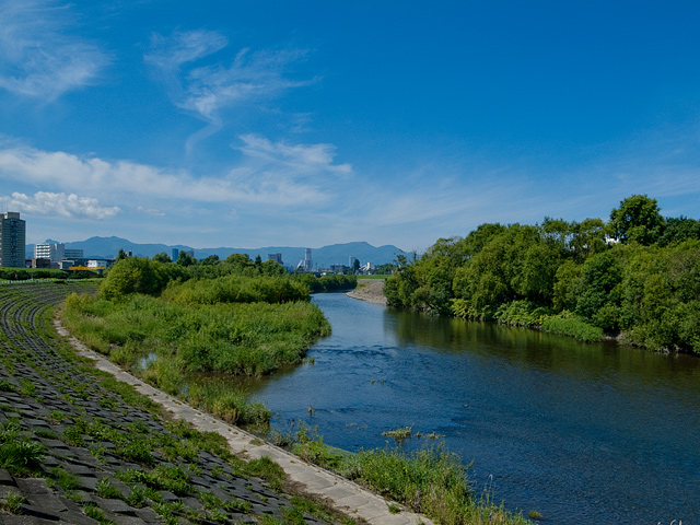 b0085526_1621954.jpg