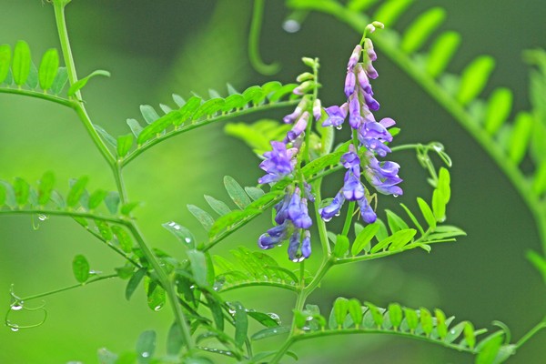 c0104227_034769.jpg
