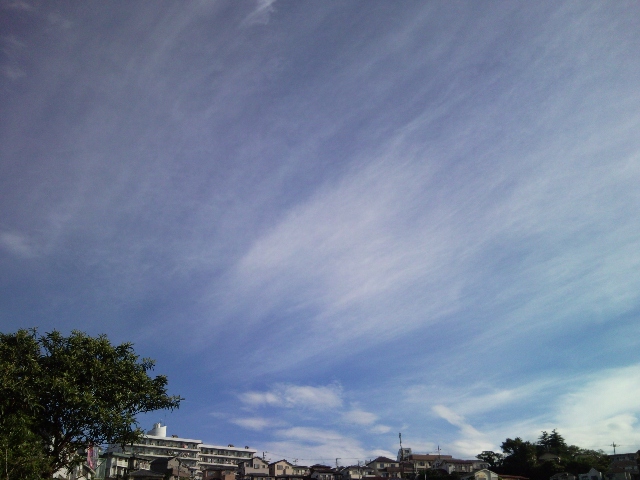 e0150843_1211119.jpg