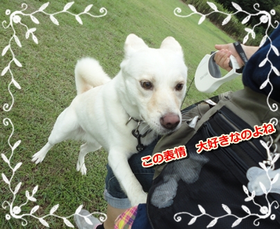 f0195543_13361740.jpg