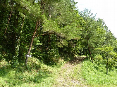 c0220047_14372398.jpg