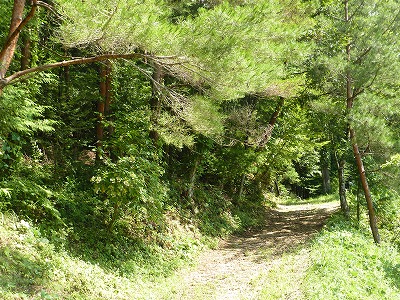 c0220047_14373670.jpg