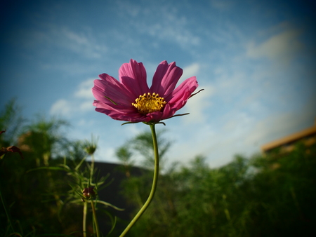 c0095253_16555633.jpg