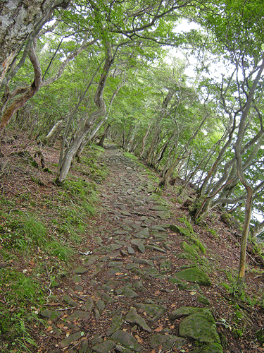 a0001354_2142632.gif