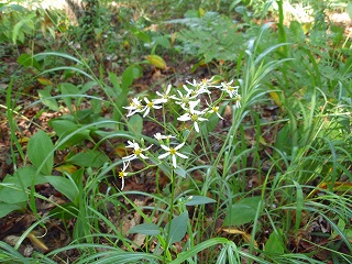 e0004756_20522171.jpg