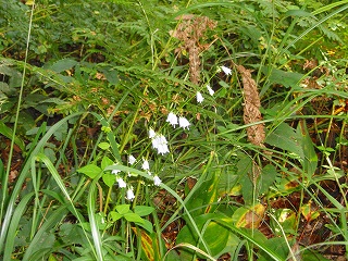 e0004756_2125336.jpg