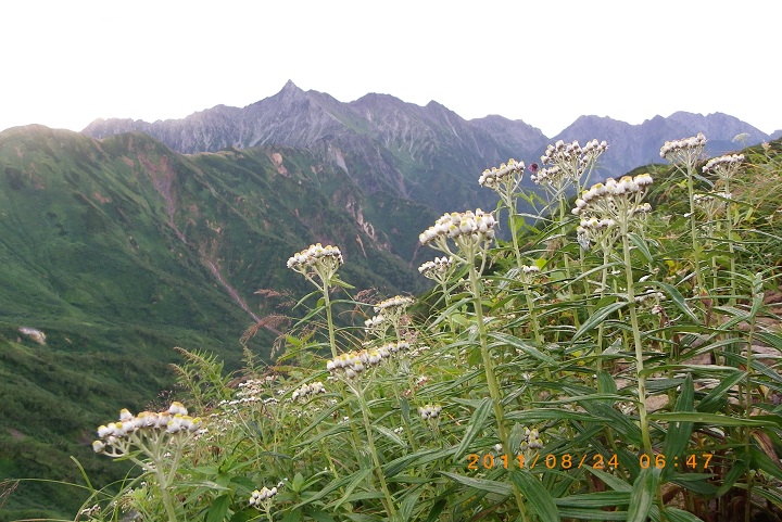 f0016066_745523.jpg