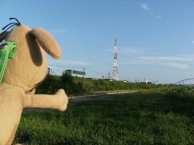 c0158573_1825850.jpg