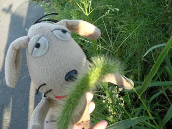 c0158573_1827048.jpg