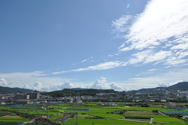 d0163073_039551.jpg
