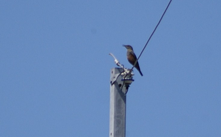 e0197884_2143847.jpg