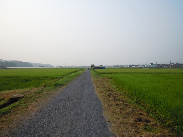 a0045688_2304328.jpg