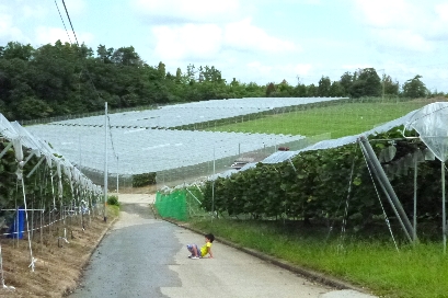 b0075888_22503710.jpg