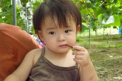 b0075888_22533139.jpg