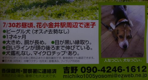 c0123890_12483543.jpg