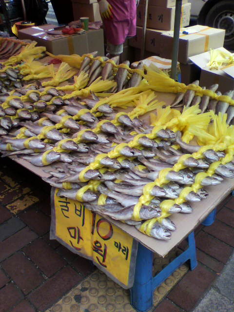 e0109292_9565385.jpg