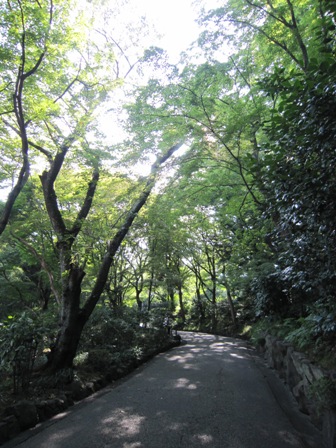 e0126594_8555242.jpg