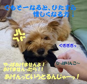 a0154801_1623747.jpg