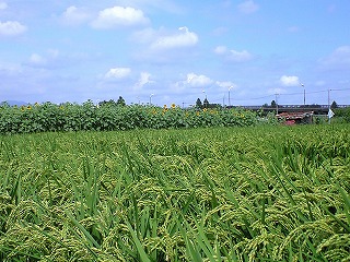 d0180506_18122951.jpg