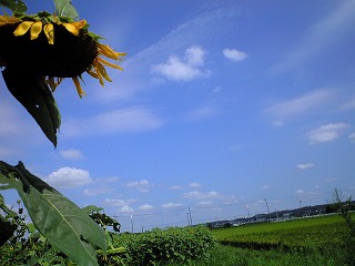 d0180506_18421248.jpg