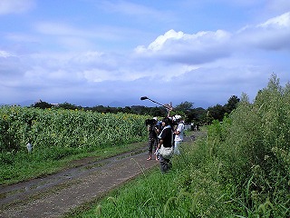 d0180506_1865128.jpg