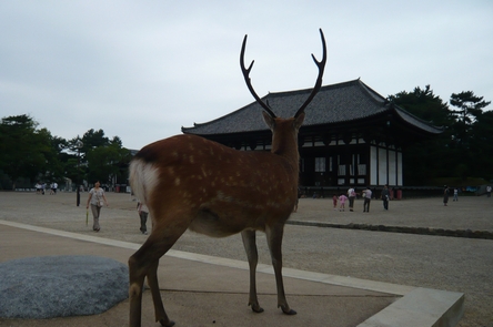 f0221708_2254370.jpg