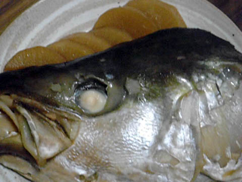e0177509_220456.jpg