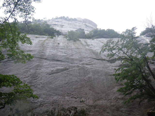 d0006512_21453669.jpg
