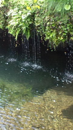 f0150620_20112084.jpg