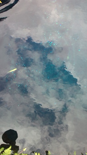 f0150620_2073467.jpg