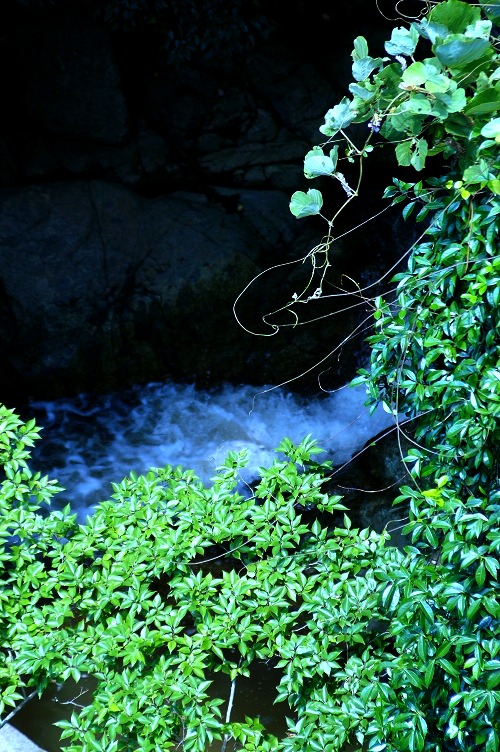 d0229621_2229572.jpg