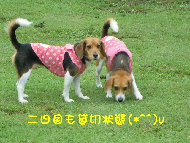 c0166622_943463.jpg