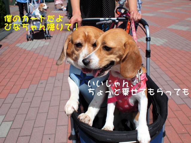 c0166622_97216.jpg