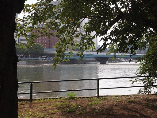 f0231829_1222265.jpg