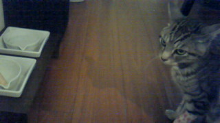 c0125532_22133419.jpg