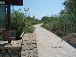 c0077533_18142737.jpg