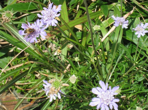 c0077338_16391151.jpg