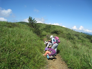 c0077338_16392422.jpg