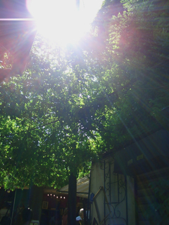 b0209944_2330464.jpg