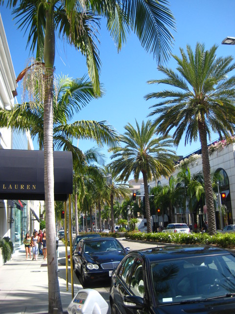 c0209845_1181264.jpg