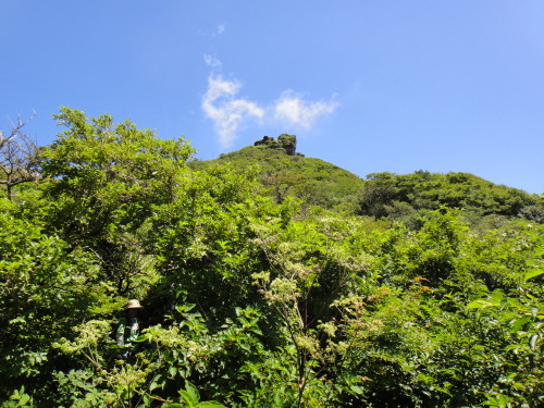 c0179351_19131378.jpg