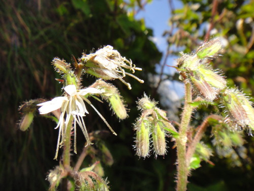 c0179351_1920436.jpg